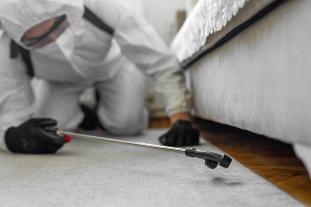 Professional Termite Control technician working in Wappingers Falls, NY